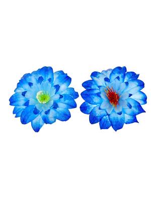 Blue flower hair accessory 3