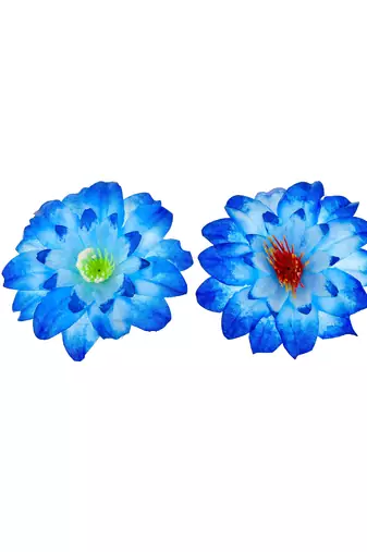 Blue flower hair accessory
