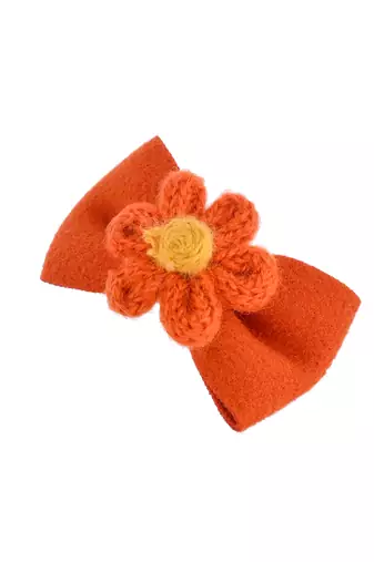 Set of 2 bow hair clip accessory
