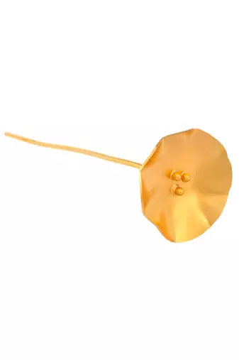 Women gold toned floral hair sticks