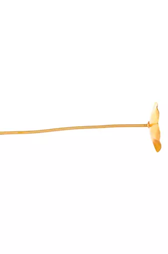 Women gold toned floral hair sticks