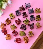 Set of 24 multi colored claw clip