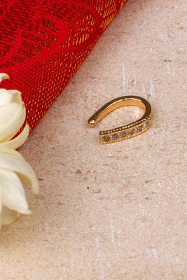 Minimal Gold Tone Nathni 2