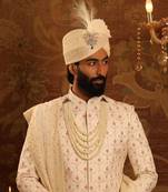 Royal Shimmer Kalangi