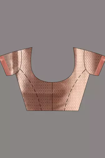 Grey Organza Handwoven Saree With Zari Border