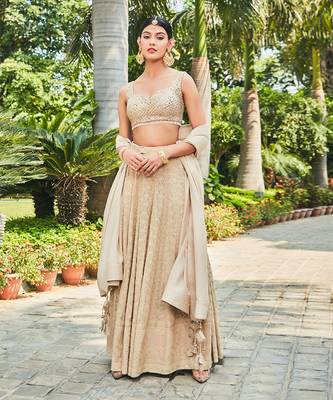Beige Myra Embroidered Chikankari Lehenga Set 2