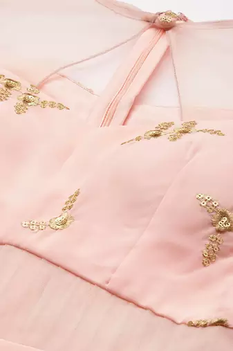 Ethnovog Ready To Wear Peach Georgette Embroidered Gown