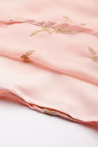 Ethnovog Ready To Wear Peach Georgette Embroidered Gown
