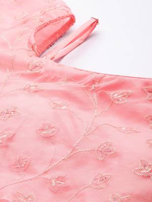 Ethnovog Ready To Wear Pink Embroidered Organza Gown 2