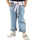 Budding Bees Blue Denim Dress with Attached Fabric Belt