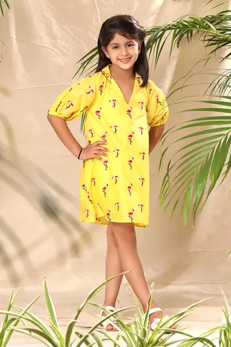 Yellow embroidered a- line collar dress with balloon sleeve
