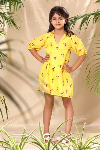 Yellow embroidered a- line collar dress with balloon sleeve