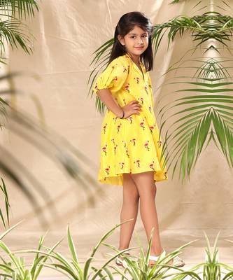 Yellow embroidered a- line collar dress with balloon sleeve 3