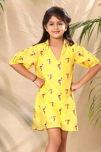 Yellow embroidered a- line collar dress with balloon sleeve