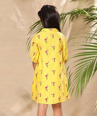Yellow embroidered a- line collar dress with balloon sleeve 5