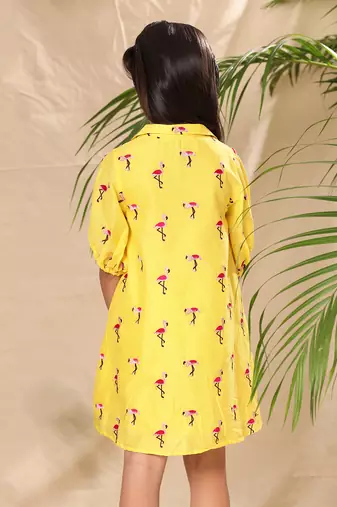 Yellow embroidered a- line collar dress with balloon sleeve