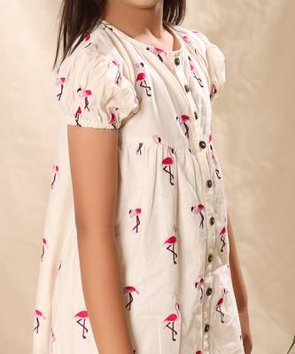 Off white embroidered drop waist front placket dress 3