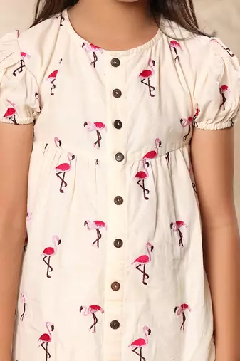 Off white embroidered drop waist front placket dress