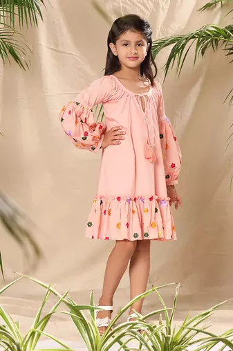 Pink embroidered a-line dress with lantern sleeve