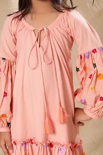 Pink embroidered a-line dress with lantern sleeve
