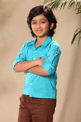 Blue embroidered raglan sleeve collar shirt