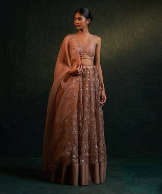 Ginger Organza Hand Embroidered Lehenga 1