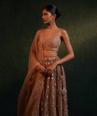 Ginger Organza Hand Embroidered Lehenga 2