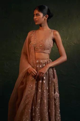 Ginger Organza Hand Embroidered Lehenga