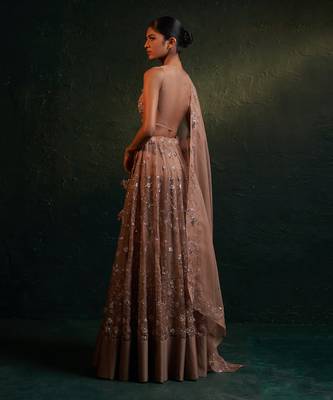 Ginger Organza Hand Embroidered Lehenga 3