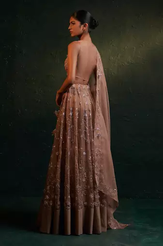 Ginger Organza Hand Embroidered Lehenga