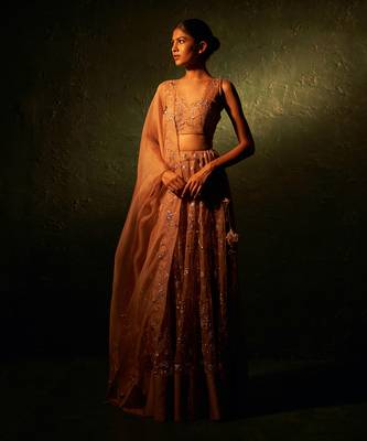 Ginger Organza Hand Embroidered Lehenga 4