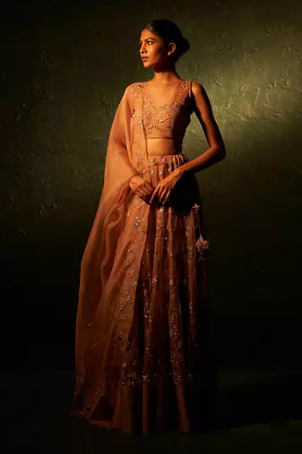 Ginger Organza Hand Embroidered Lehenga