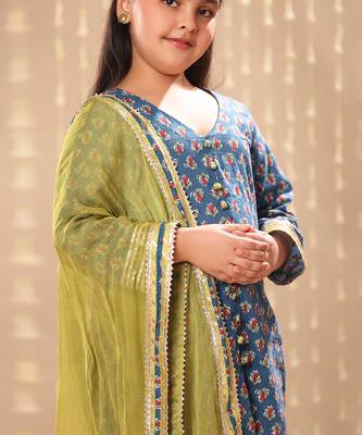 Blue jaipuri front open straight kurta set 2