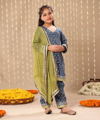 Blue jaipuri front open straight kurta set 3