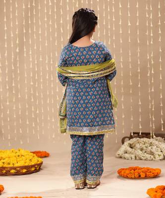 Blue jaipuri front open straight kurta set 5