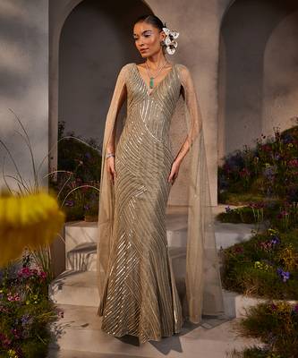 Lucy silver grey gown 1