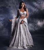 Moonlight Grey Embroidered Lehanga set