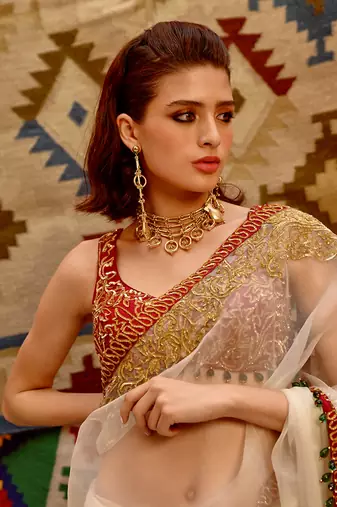 Fawn 'queen' saree with sleeveless tie-up blouse