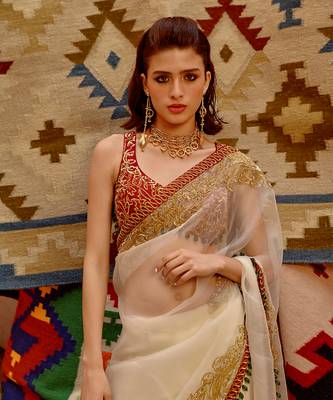 Fawn 'queen' saree with sleeveless tie-up blouse 5