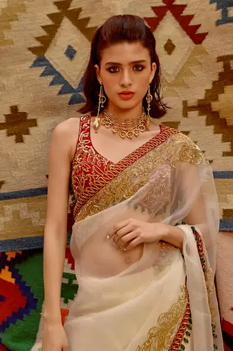 Fawn 'queen' saree with sleeveless tie-up blouse