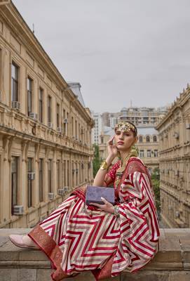 Red patola silk saree for wedding  4