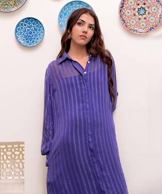 Neelambar zari textured shirt dress 2