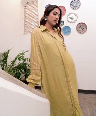 Pistavi  zari textured shirt dress 2