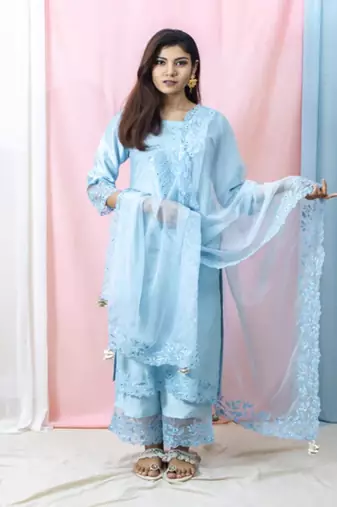 Harshita - Sky Blue Suit Set