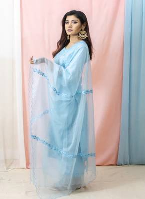 Raasika - Sky Blue Suit Set 2