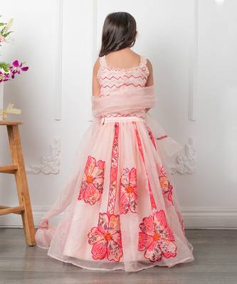 Pink applique embroidered lehenga set 4
