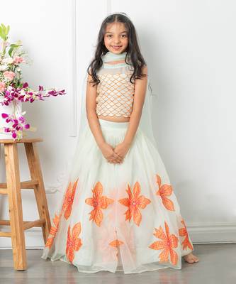 Floral applique embroidered lehenga set 1