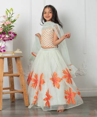 Floral applique embroidered lehenga set 2