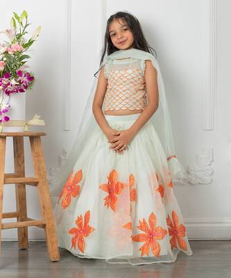 Floral applique embroidered lehenga set 3