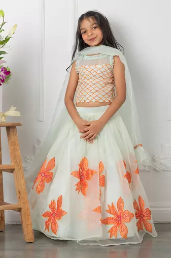 Floral applique embroidered lehenga set